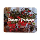 Search for seasons greetings magnets Flowers