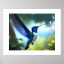 Search for blue hummingbird art Watercolor