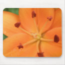 Search for lilies mousepads Flora