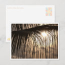 Search for sunset palm postcards Indonesia