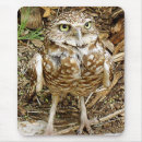 Search for owl feather mousepads Wildlife