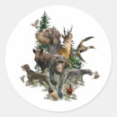 Search for german wirehaired pointer stickers Drahthaar
