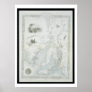 Search for terrestrial art John