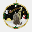 Search for norwegian christmas tree decorations Norwegian forest cat