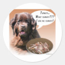 Search for newfoundland dog stickers Breed