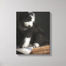 Search for studio pet supplies Indoors