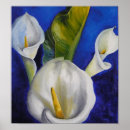 Search for calla posters Lilies