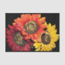 Search for sunflower tissue paper Autumn