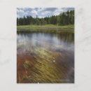 Search for water reflection postcards Rural