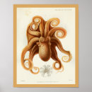 Search for cephalopod art Vintage