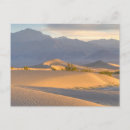 Search for dawn postcards Sand