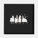 Search for men dark magnets Sheet ghost