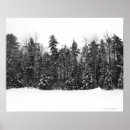 Search for snow covered trees posters Nature