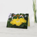 Search for yellow mothers day cards Mum