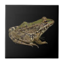 Search for frog tiles Natural