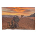 Search for camel pillowcases Egypt