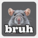 Search for no rats stickers Pet rat