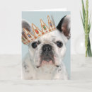 Search for french bulldog cards Purebred