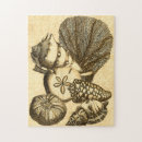 Search for sea shell puzzles Star fish