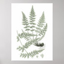 Search for home staging posters For her