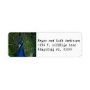 Search for male return address labels Animal