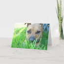 Search for bsl cards Dog