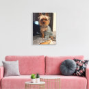 Search for yorkie canvas prints Yorkshire terrier