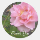 Search for beautiful rose stickers Thank you
