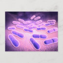 Search for physiology postcards Medical