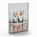 Search for dog photo display Cute