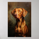 Search for vizsla posters Puppy
