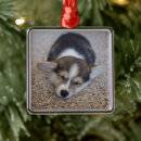 Search for pembroke welsh corgi christmas tree decorations Cute
