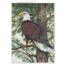 Search for america eagle postcards Leaves