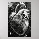 Search for heart white posters Illustration
