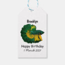 Search for betta fish crafts party Siamese fighting fish