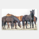 Search for horse lover stickers Cute