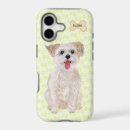 Search for morkie Maltese