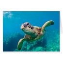 Search for animals of hawaii postcards Turtle