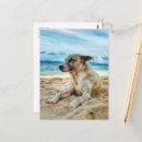 Search for relax postcards Sun