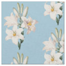Search for white lily Floral