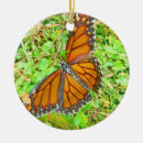 Search for insect christmas tree decorations Butterflies