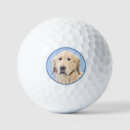 Search for golden retriever golf balls Puppy