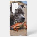 Search for crab samsung cases Beach