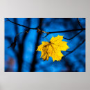 Search for one of a kind posters Yellow