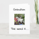 Search for funny grandson birthday cards Cute