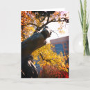 Search for fountains cards Photography