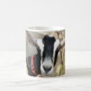 Search for billy mugs Goat