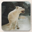 Search for wolf coasters Nature