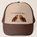 Search for peeking in hats Dog