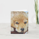 Search for golden puppy cards Cute dogs